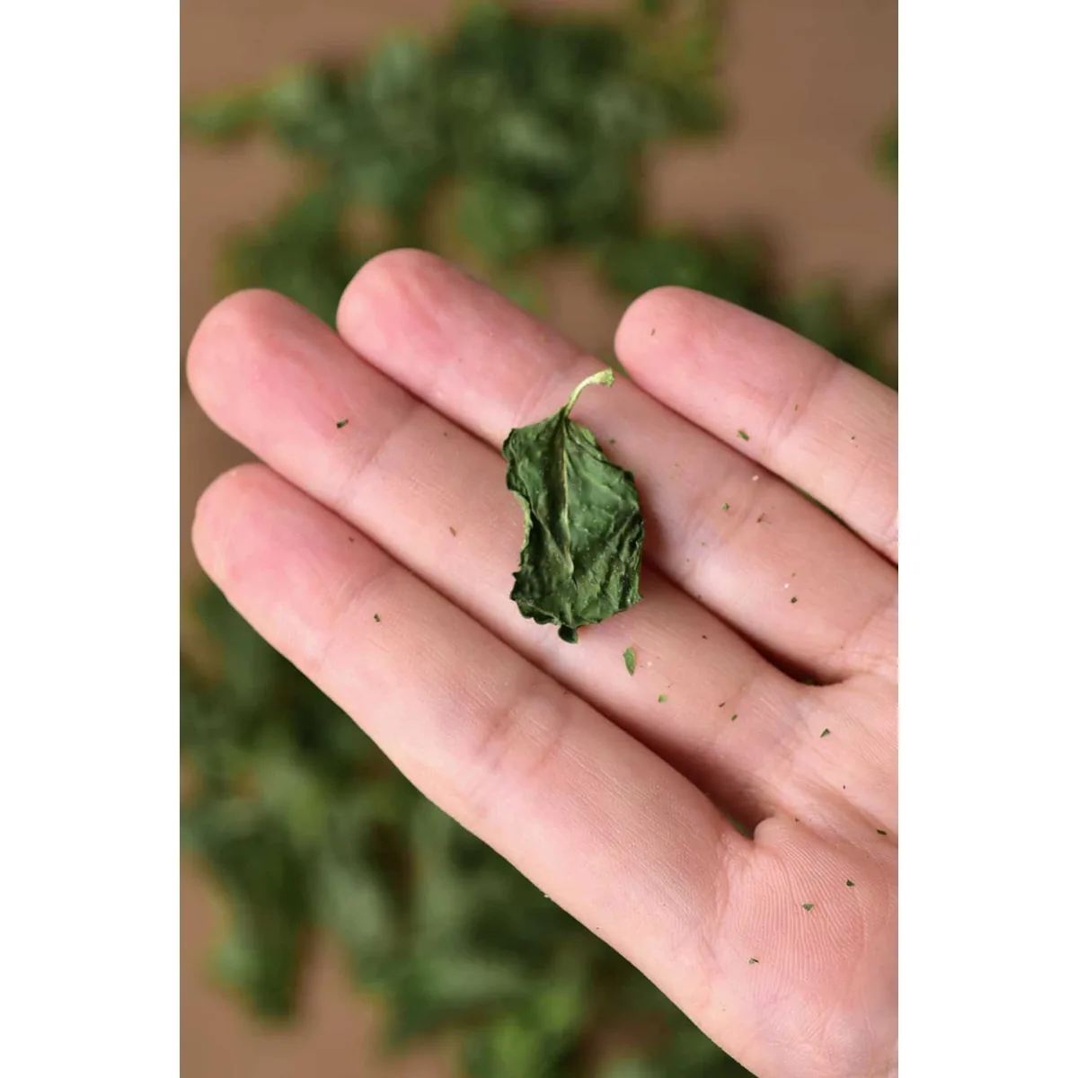 Dried Mint Leaves - 1
