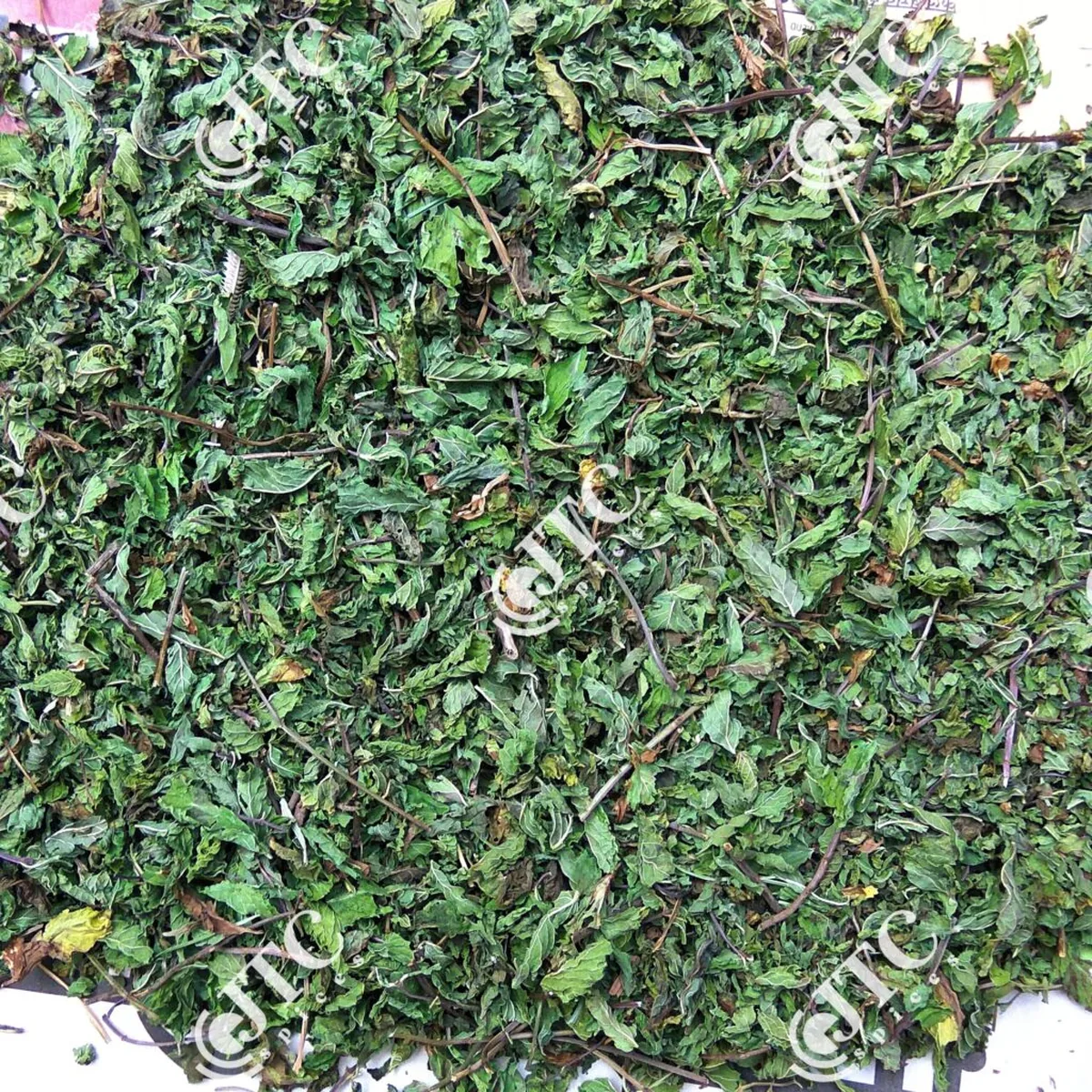 Dried Mint Leaves - 2