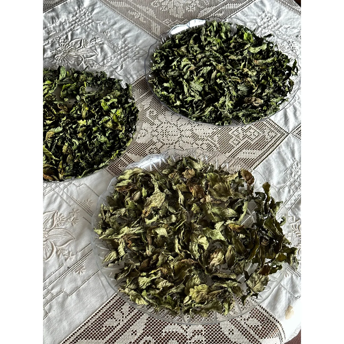 Dried Mint Leaves - 4