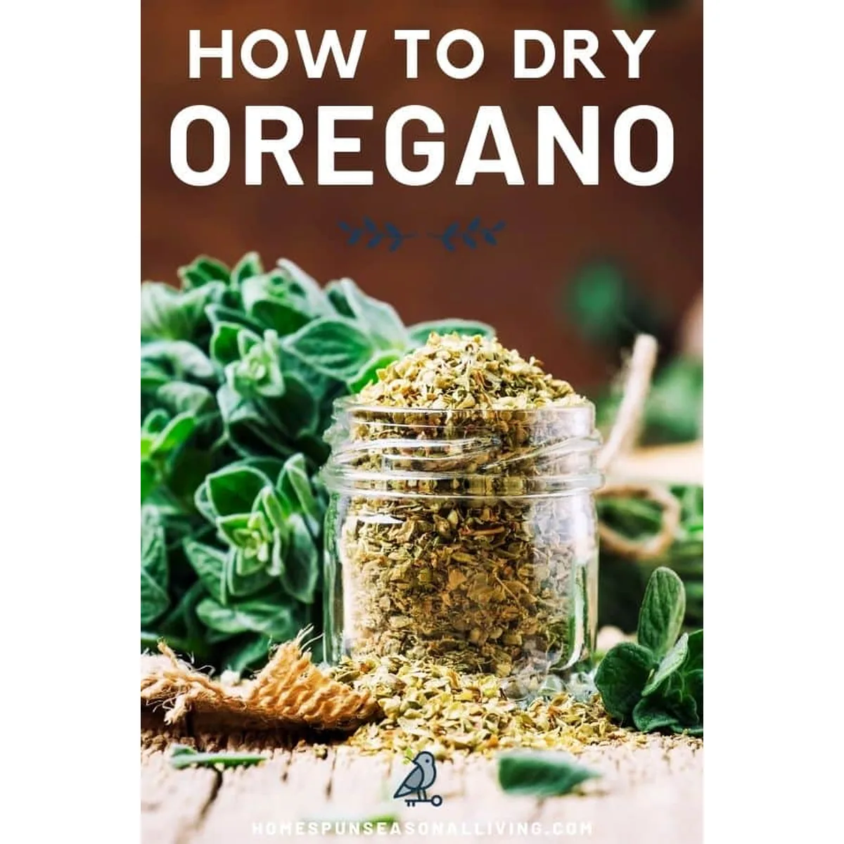 Dried Oregano Leaves - 3
